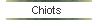 Chiots