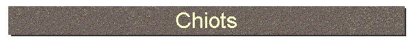Chiots