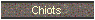 Chiots
