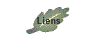 Liens
